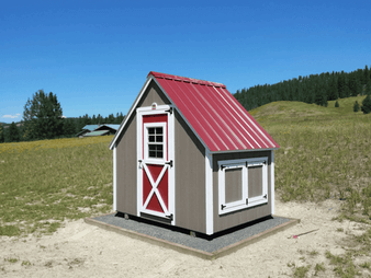 Chicken Coop Montana